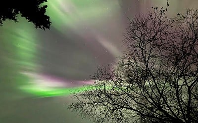 Rare Northern Lights Opportunity On Thanksgiving: Here’s Where To See The Aurora Borealis Tonight