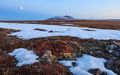 Arctic tundra is now a source – not a sink – of carbon emissions