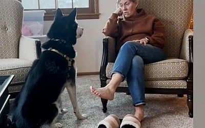 WATCH: Husky doesn't understand why grandma doesn't have his favorite jerky