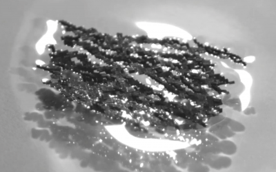 Swarms of tiny robots coordinate to achieve ant-like feats of strength