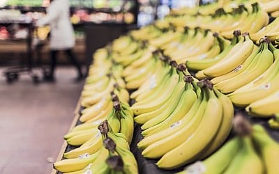 Victime du changement climatique et des maladies: pourquoi le prix de la banane risque bien d'augmenter