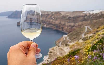 7 white wines I'm buying right now as a sommelier