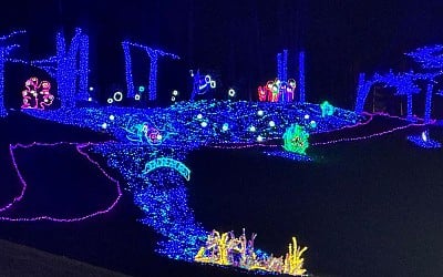 7 Spectacular Christmas Light Displays That Offer Holiday Magic