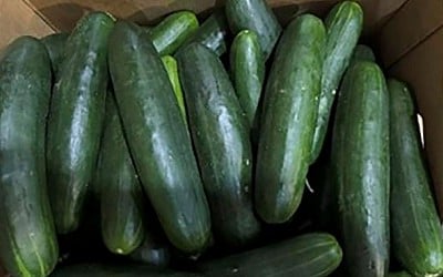 Major Cucumber Recall Expands To 35 States Over Salmonella Concerns—68 Illnesses Reported So Far