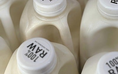 Raw milk recall in California expands after tests detect more bird flu virus