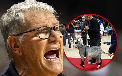 UConn Ripped Over Handling Of Goat At Geno Auriemma Ceremony