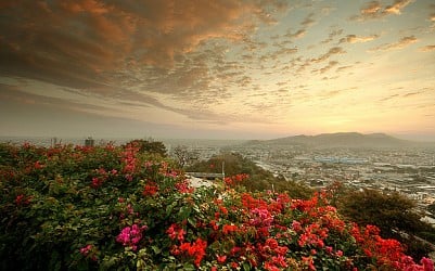 Copa: San Francisco – Guayaquil, Ecuador. $341 (Basic Economy) / $461 (Regular Economy). Roundtrip, including all Taxes