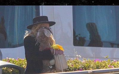 Britney Spears Clutches Stuffed Rabbit in Return to U.S. From Mexico