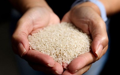 Los inspectores detienen 25.000 kilos de arroz por su aspecto y olor y se topan con un descubrimiento espantoso