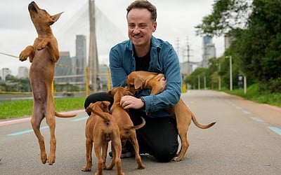 Forget soccer and samba. This caramel-colored street dog is Brazil’s new national icon.