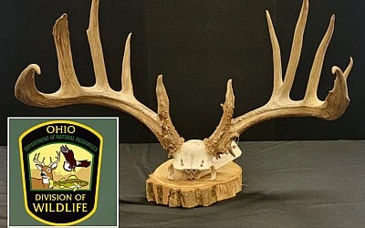 Ohio poacher slapped with record-breaking $43K fine after killing ‘valuable’ trophy deer