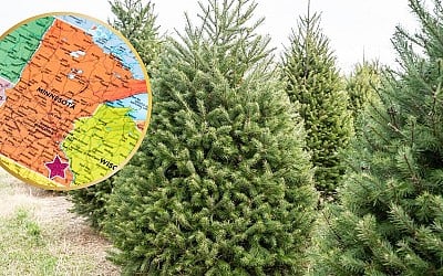 Grab A Free Christmas Tree Saturday in Rochester, Minnesota!