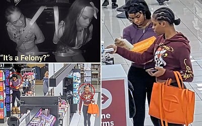 Busted thieves baffled by 'new laws' in California that make shoplifting a felony, police video shows