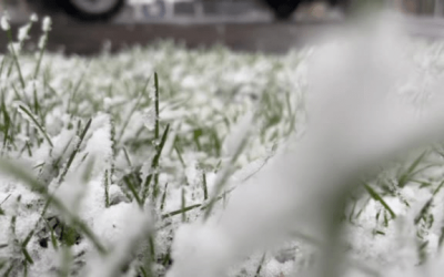 Will it snow in Utah on Christmas Day? Here's what the forecast says