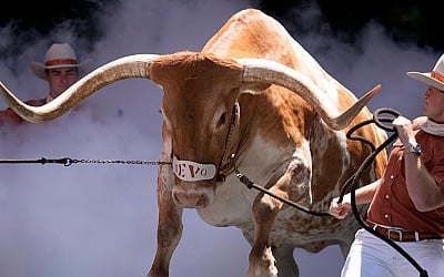 Chick-fil-A Peach Bowl bans Texas Longhorns' Bevo from stadium sidelines