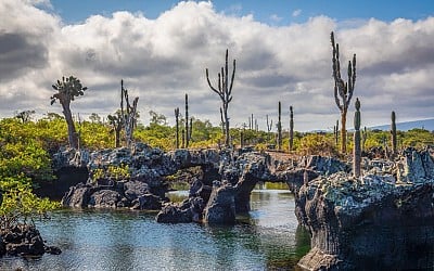 Vom Weltnaturerbe zur Militärbasis