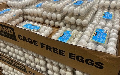 FDA raises Costco egg recall to highest risk level over salmonella fears