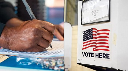 Democratic enrollment drops in NY from 2020-24 in ominous election sign