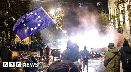 BBC reports from mass protest at 'crucial moment for Georgia'