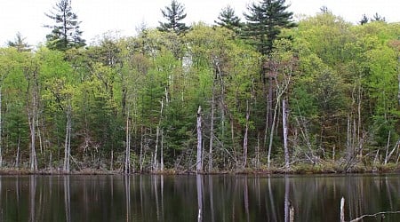 RI to conserve 900 acres through purchase of Boy Scout property