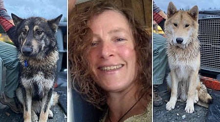 Slain hiker's dogs found dead dead in Oregon: police