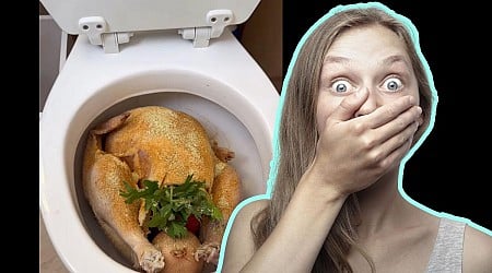 Minnesota Now Famous Thanks To Viral Turkey in Toilet Video