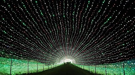 Holiday Attraction Lights Up MN-WI Border with 16 Million Lights