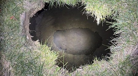 Sinkhole may have swallowed Pennsylvania grandmother looking for missing cat: police