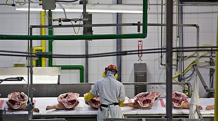 Feds Again Find Child Labor At Iowa Pork Plant, Prompting New Fine