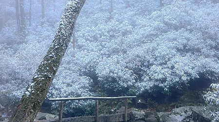 Winter-like temperatures are coming to East Tennessee. Will it snow? What to expect