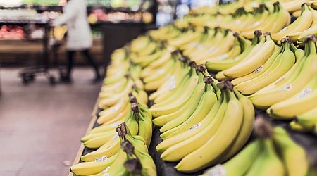 Victime du changement climatique et des maladies: pourquoi le prix de la banane risque bien d'augmenter