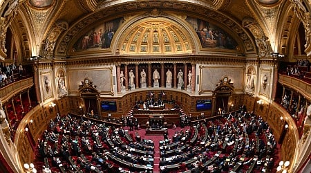 Mercosur : Après l’Assemblée nationale, le Sénat s’y oppose à son tour