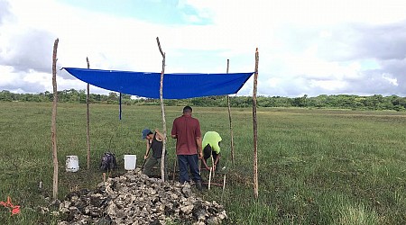 Ancient Maya Aquaculture: How Fish Farming Powered a Civilization