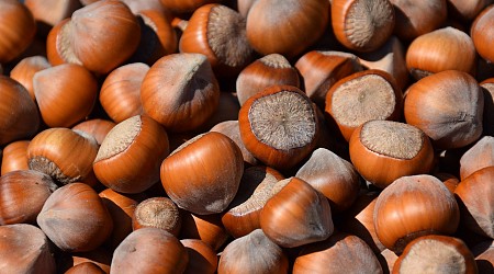 Alaska-grown hazelnuts? A changing climate is helping growers coax unusual crops from northern soil