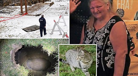 Searchers find body of missing Pennsylvania woman who fell into sinkhole