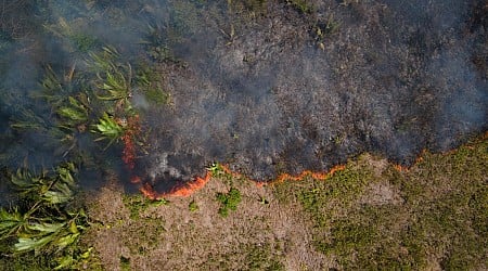 EU-Erdbeobachtungsprogramm Copernicus: Rekordhoher CO2-Ausstoß 2024 durch Waldbrände in Nord- und Südamerika