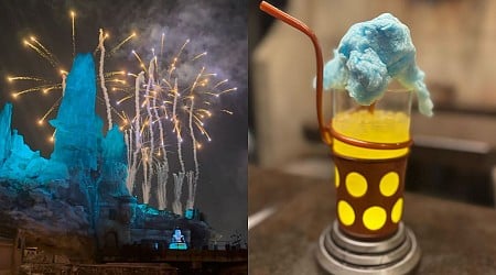 Disneyland’s Festive Star Wars Meal Is a Life Day Letdown