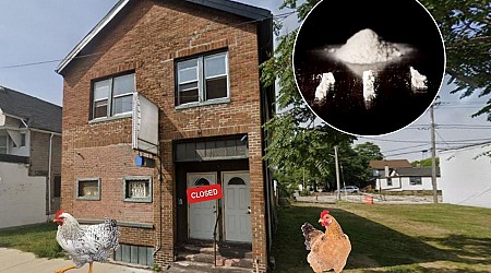 Chickens & Cocaine Force the Closure of Wisconsin Bar