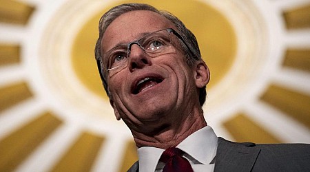 John Thune elected Senate Republican leader as Mitch McConnell steps down