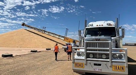 Flour millers face supply crunch as wheat farmers tighten grip on stocks