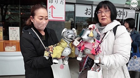 WATCH: Robot dog owners take pets to be blessed in Japanese shrine