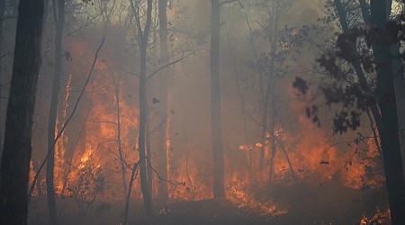 Drone Footage Captures Jennings Creek Fire in New Jersey