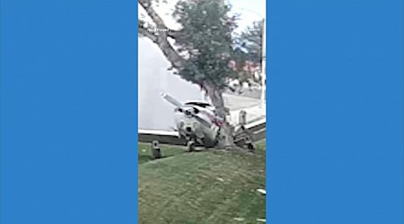 WATCH: Small plane makes crash landing into tree in Southern California