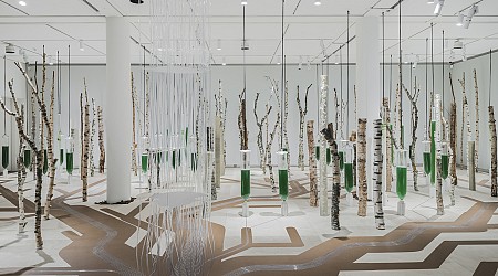 A Bio-Digital Exploration: ecoLogicStudio Opens Deep Forest Exhibition at the Louisiana Museum in Denmark