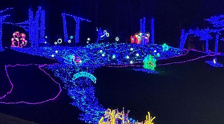 7 Spectacular Christmas Light Displays That Offer Holiday Magic