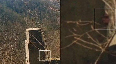 Photograph shows weird 'hand' in area known for Bigfoot sightings