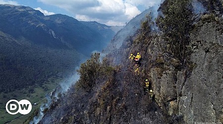 Ecuador: Wildfires trigger national emergency