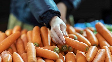 E. Coli Outbreak Across At Least 18 States Causes Organic Carrot Recall