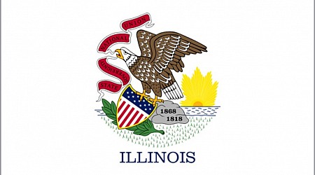 See the 10 finalists for Illinois' new state flag