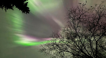 Rare Northern Lights Opportunity On Thanksgiving: Here’s Where To See The Aurora Borealis Tonight